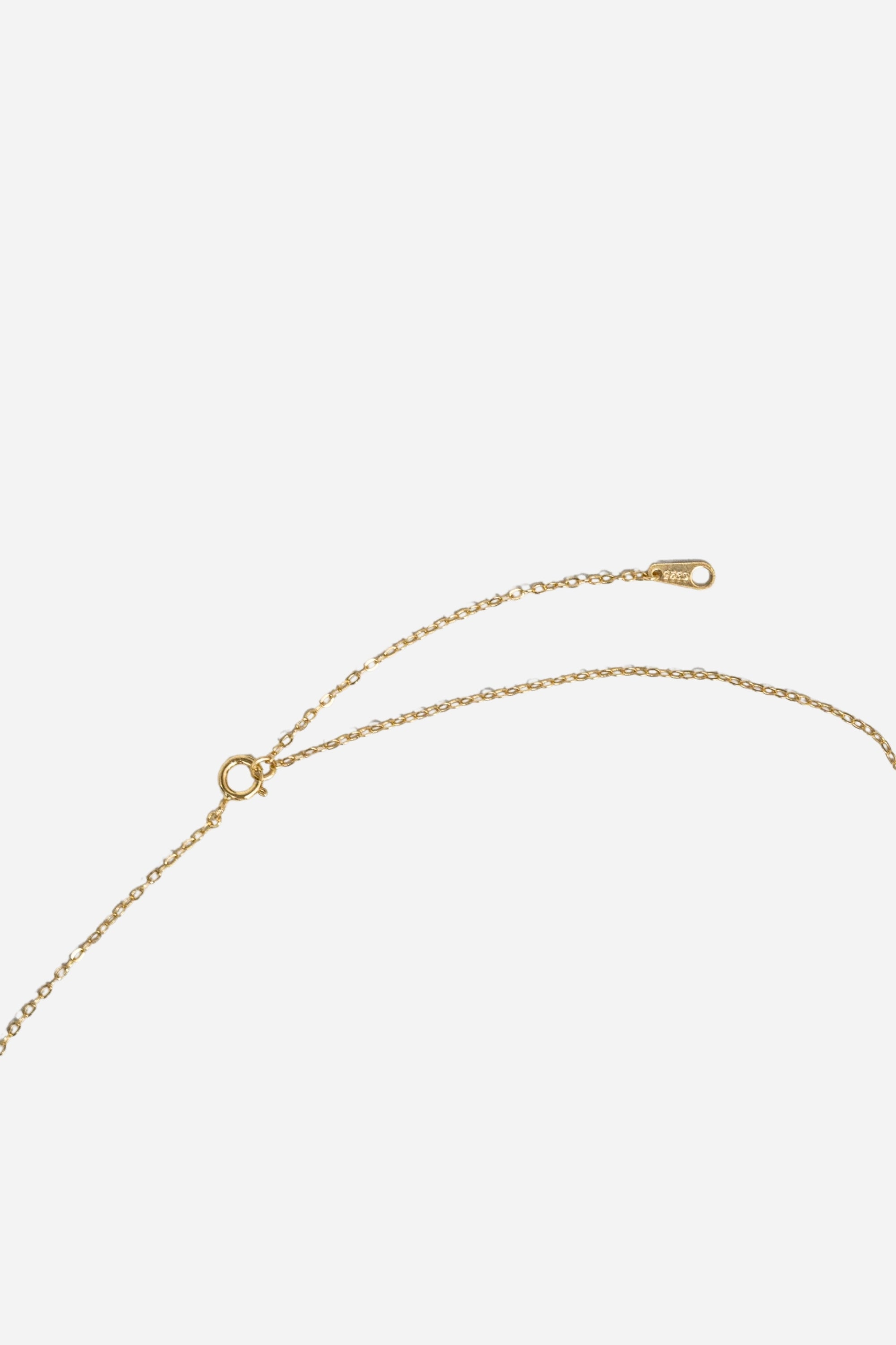 Circle Carat Necklace